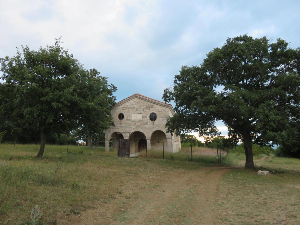 Entre * Emona